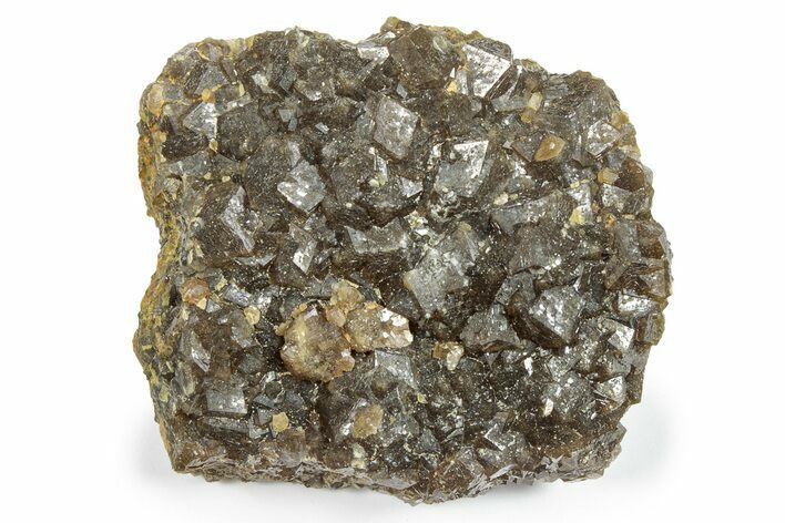 Sharp Andradite Garnet Cluster - Stanley Butte, Arizona #245055